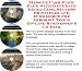 Search : Massive Cash Flow Pack with Generate Extra Cash, Success Principles and eCommerce for Arborist Tools On-line Businesses 3 CD Pack