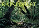 Rainforests: A Panoramic Vision