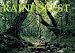 Rainforest