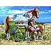 Free Spirits of the Coast 300pc Jigsaw Puzzle by Louis T. Johnson