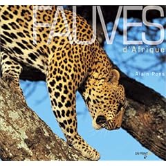 Fauves d'Afrique
