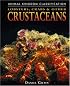 Lobsters, Crabs, & Other Crustaceans (Animal Kingdom Classification)