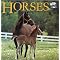 Horse stories with some picture books