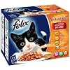 Felix Sensations Meaty Steaklets 12 x 100 g (Pack of 4, Total 48 Pouches)