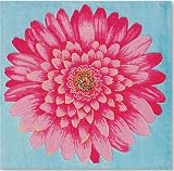 Double Gerber Rug