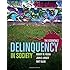 Delinquency In Society: The Essentials