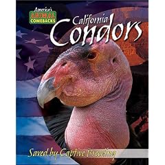 California Condors: Saved by Captive Breeding