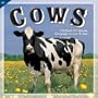 Cows 2010 Wall Calendar
