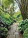 Tropical Gardens of the Philippines
