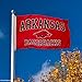 Arkansas Razorbacks University Large College Flag