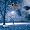 Celtic Thunder Christmas