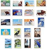 FUN FACTS postcard set of 20. Post card variety pack with trivia and fun fact theme postcards. Made in USA.