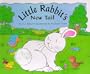 Little Rabbit'S New Tale