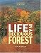 Life in a Deciduous Forest (Ecosystems in Action) Image of Life in a Deciduous Forest (Ecosystems in Action)