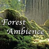 Forest Ambience - Healing Nature Sounds for Relaxation, Massage Therapy, Reiki and Sleep