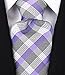 Scott Allan Men's Stripe Necktie