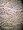 Paisley Brown India Jamawar Pashmina Shawl 82