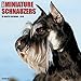 2016 Just Miniature Schnauzers Wall Calendar