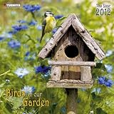 Produkt-Bild: Birds in our Garden 2012: V&ouml;gel in unseren G&auml;rten / les oiseaux du jardin