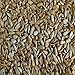 Yankee Traders Brand, Sunflower Seeds - No Salt / Roasted ~ 2 Lbs