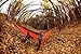 Kammok Roo Double Camping Hammock