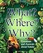 What? Where? Why?: Questions and Answers About Nature
