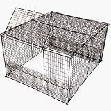 Collapsible Pigeon Trap 4x3x2