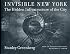 Invisible New York: The Hidden Infrastructure of the City (Creating the North American Landscape)