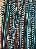 5 Feathers 4"-6" Turquoise, Genuine Grizzly & Browns Extension for Hair Extension