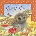 A Peek-And-Find Adventure with Olivia Owl