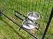 Pet Supplies : Lucky Dog Turn-Style 2-Bowl System, #CL71120
