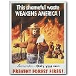 Nostalgic Smokey Bear Tin Sign : Prevent Forest Fires!