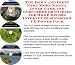 The Down and Dirty Earn More Money, Inner Game and Godfather Principles for Home Decors Internet Businesses 3 CD Power Pack