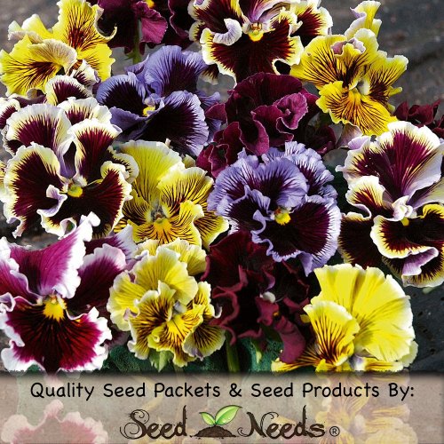 60 Pansy Seeds 60 Pansy Seeds