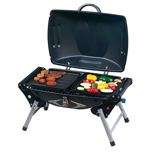 barbecue gaz san jose