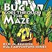 Bug Goes through the Maze