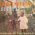 Break It Yourself [+Bonus Dvd]