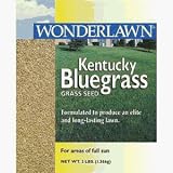 Barenbrug USA 50208 Kentucky Bluegrass Grass Seed
