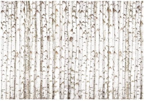 Photo Wall Mural no.213 BIRCH WALL 157.48"x110.24" Tree, Birch, Forest, Wood, Trunk, Pattern