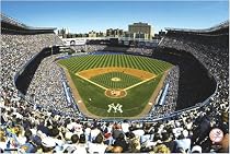 New York Yankees -Yankee Stadium- 8X12 Wall Mural