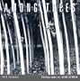 Among Trees 2010 Mini Wall Calendar (Calendar)