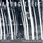 Among Trees 2010 Mini Wall Calendar (Calendar) by Sean Kernan