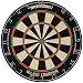 Sporting Goods : Sportcraft World Champion Ultimate Bristle Dartboard