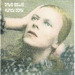 Hunky Dory