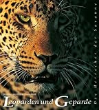 Leoparden und Geparde - Die Herrscher der Savanne - Christine Denis-Huot, Michel Denis-Huot, Christine Denis- Huot, Michel Denis- Huot