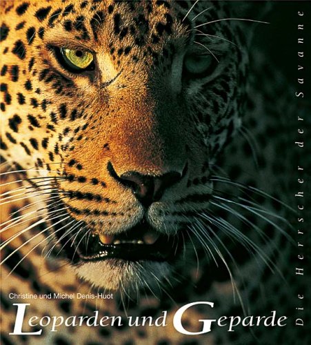 City Travel Guides Discounted  Bücher : Leoparden und Geparde: Die Herrscher der Savanne