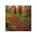 Search : Springbok Autumn Path Jigsaw Puzzle 500pc