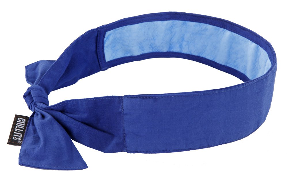 Amazon.com: THERMO-COOL COOLING NECKWRAP - ROYAL BLUE - MADE IN ...