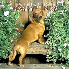 Miniature Dachshunds 2006 Calendar