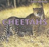 Cheetahs (Safari Animals)